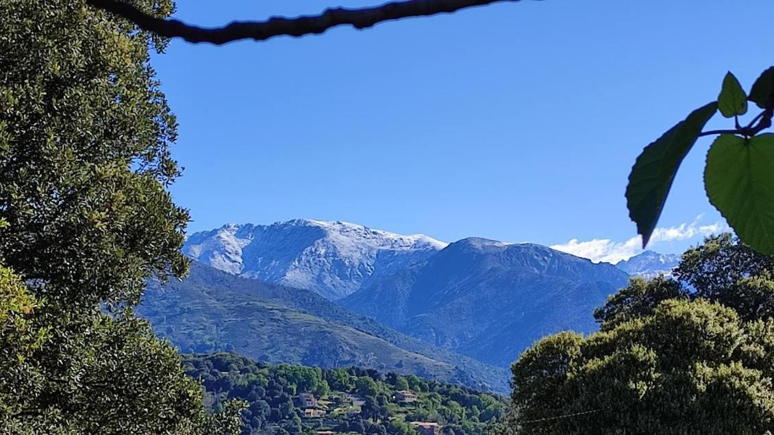 Bed and Breakfast Mare E Monti Chez Thomas Et Magali Vico Exterior foto